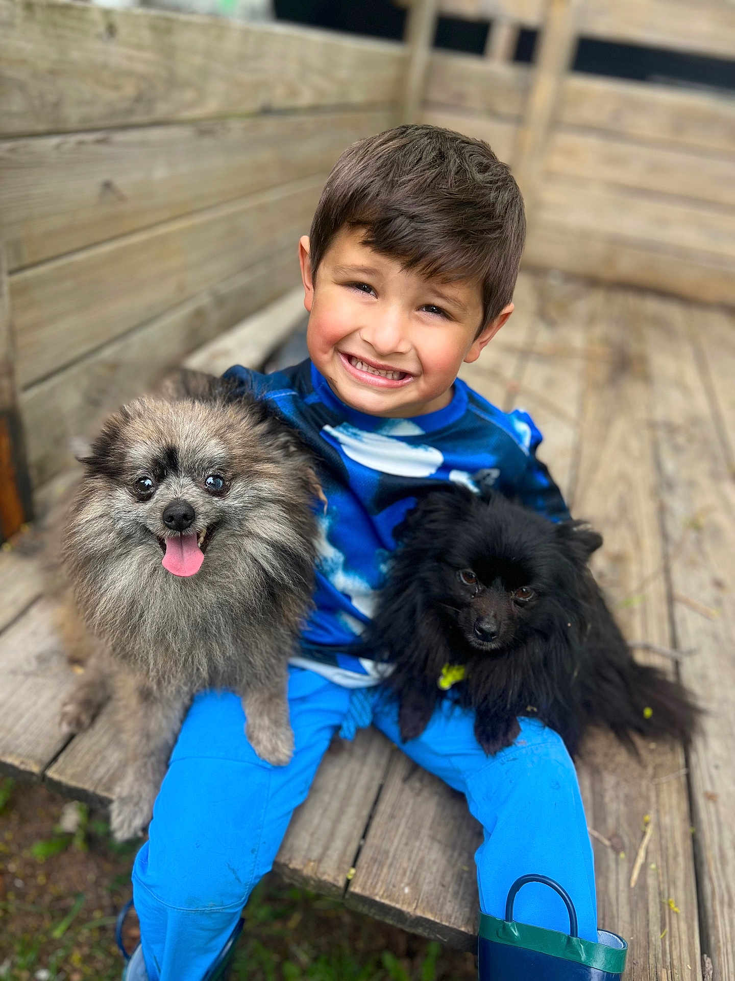 Drama joined the competition — help win amazing prizes! child, boy, dog, pet, smiling, happy, outdoor, wooden_bench, blue_clothing, fluffy_dog, black_dog, gray_dog, nature, grass, casual, portrait, playing, cute, animal, friendship