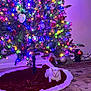 Riley joined the competition — help win amazing prizes! carpet, cat, christmas_lights, christmas_tree, cozy, decorations, festive, glowing_eyes, green, holiday, holiday_season, home_decor, indoor, ornaments, pets, red, relaxing, tree_skirt, wall, white_cat