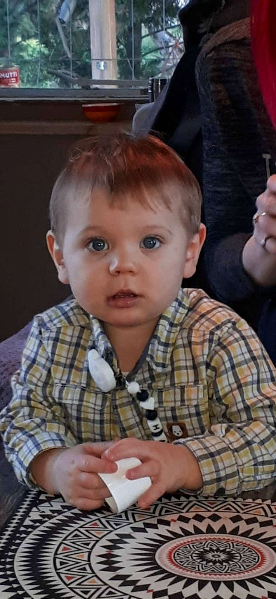 Harvey a rejoint le concours — aidez-le/la à gagner de superbes lots ! chair, cheek, child, chin, dress_shirt, event, finger, fun, holiday, nail, pattern, people, person, plaid, sitting, tartan, thumb, toddler, toy, vacation