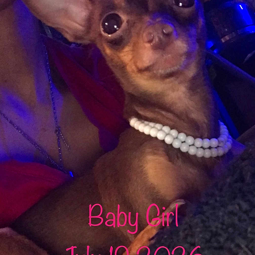 Babygirl