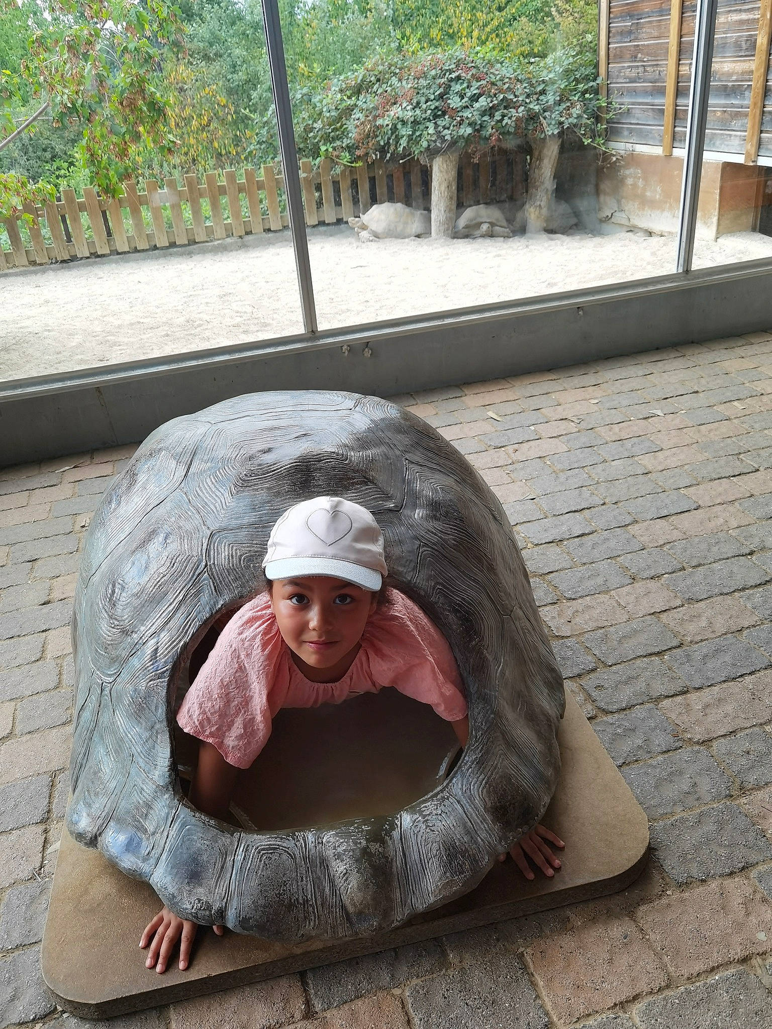 Aïna participe au concours pour gagner de l'argent avec cette photo : cap, concrete, hat, headgear, headwear, joy, person, sitting, tortoise