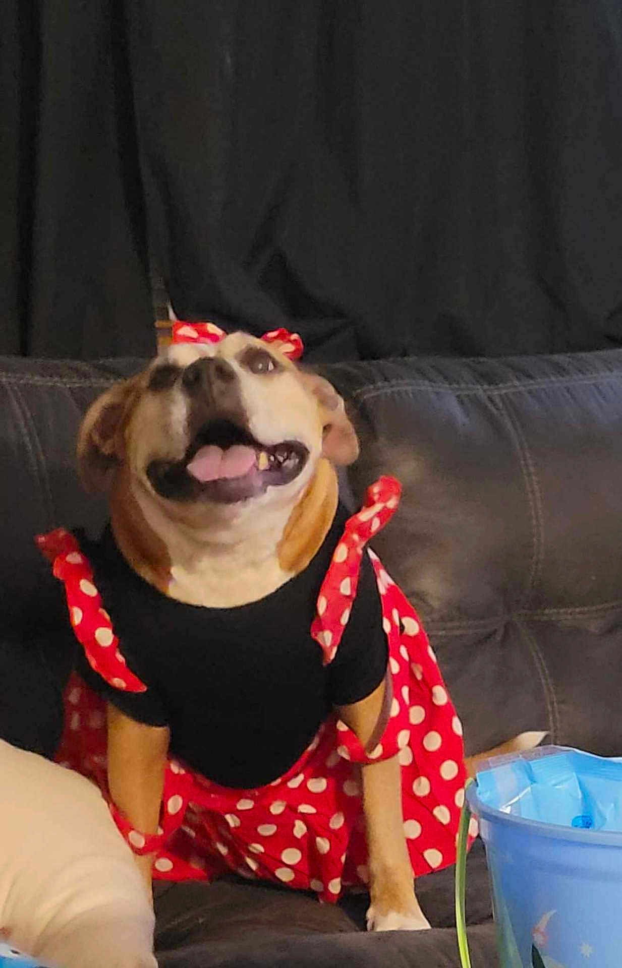 Fiona