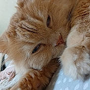 Narcos participe au concours pour gagner de l'argent avec cette photo :