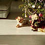 Lili a rejoint le concours — aidez-le/la à gagner de superbes lots ! carnivoran, cat, christmas, christmas_decoration, christmas_ornament, christmas_tree, dog_breed, dog_like_mammal, flooring, holiday, home, small_to_medium_sized_cats