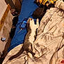 cat, bed, blanket, smartphone, snack, chips, indoor, relaxing, gray_and_white_cat, sleeping_cat, fur, paw, tail, floral_pattern, messy_room, phone_screen, plastic_cup, charger, cozy, resting