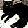 Salem