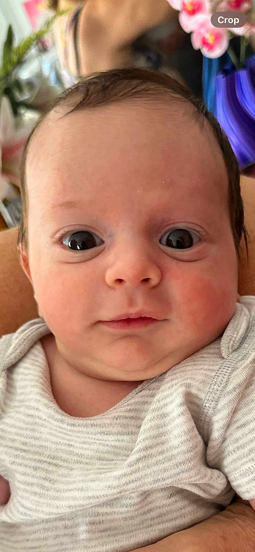 Léo