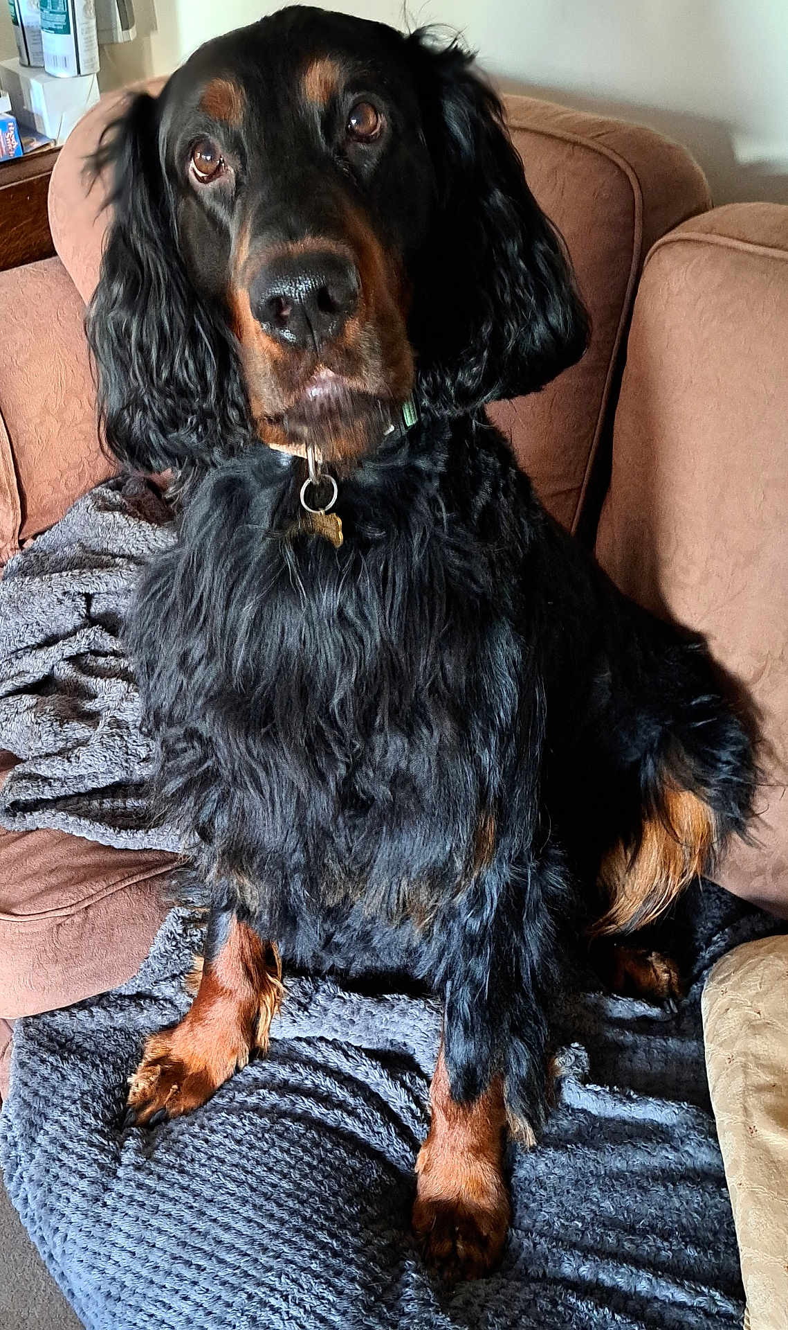 Winston