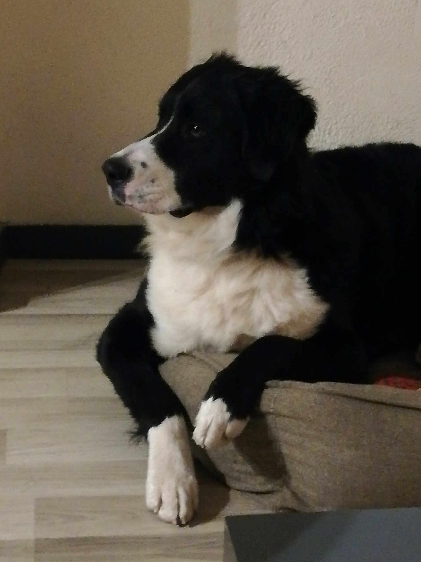 Umberto