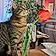 Miou