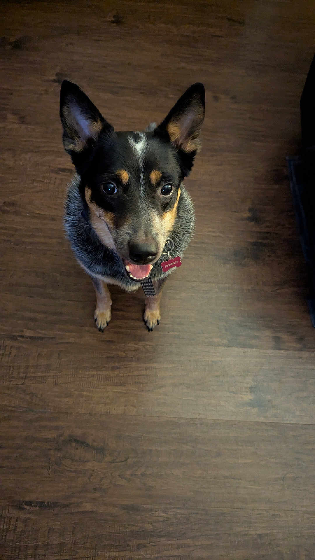 Pebbles