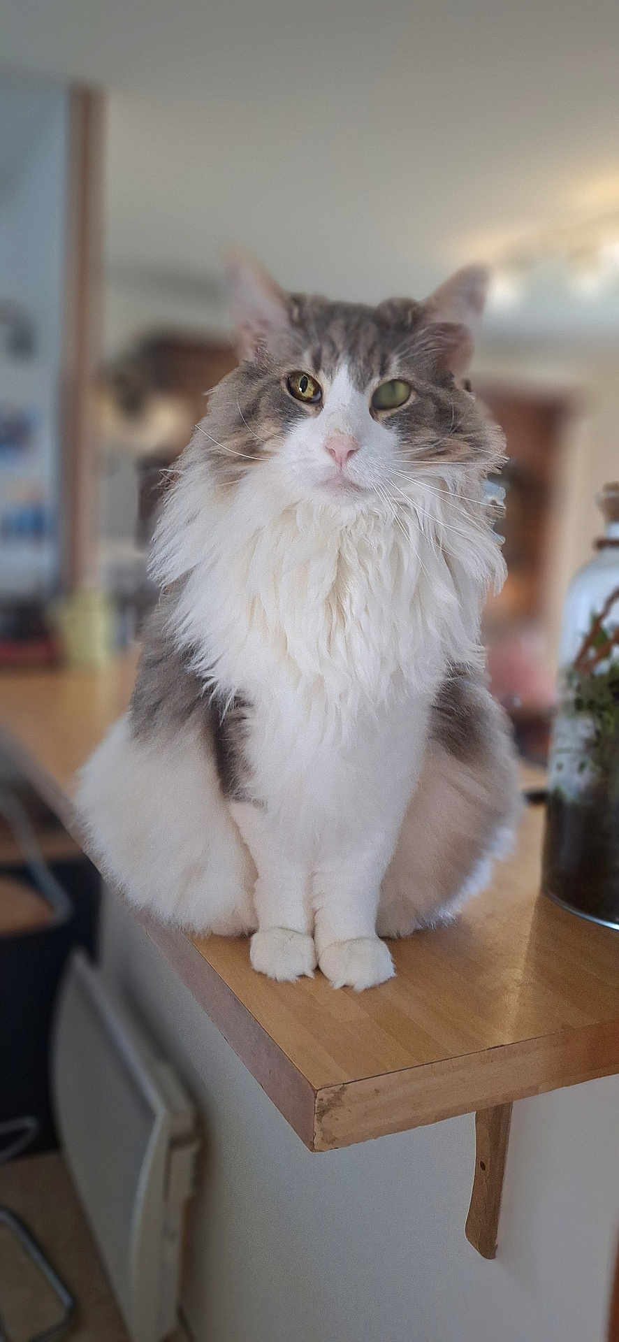 Noriko
