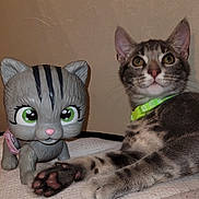 Milo participe au concours pour gagner de l'argent avec cette photo : cat, kitten, toy_cat, figurine, green_collar, tabby, paw, indoor, pet, animal, cute, soft_surface, playful, close_up, brown, gray, striped, whiskers, ears, face