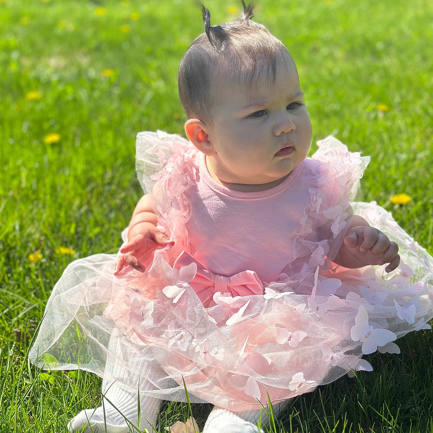 Leylani is registered to the contest to win money with this photo: baby, backyard, clothing, costume, dress, face, field, flower, grass, head, lawn, nature, outdoors, person, petal, photography, plant, portrait, sitting, yard