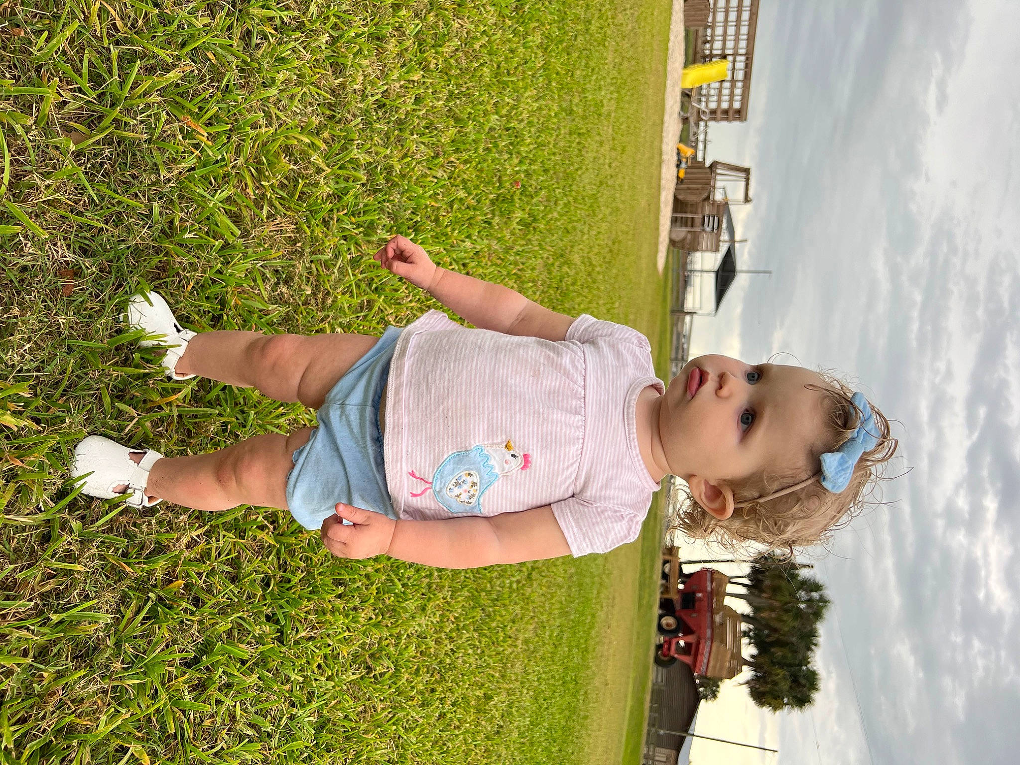 Amelia is registered to the contest to win money with this photo: cloud, fun, grass, grass_family, happy, human_leg, leaf, leg, leisure, line, people, people_in_nature, person, photograph, plant, sky, smile, snapshot, summer, toddler