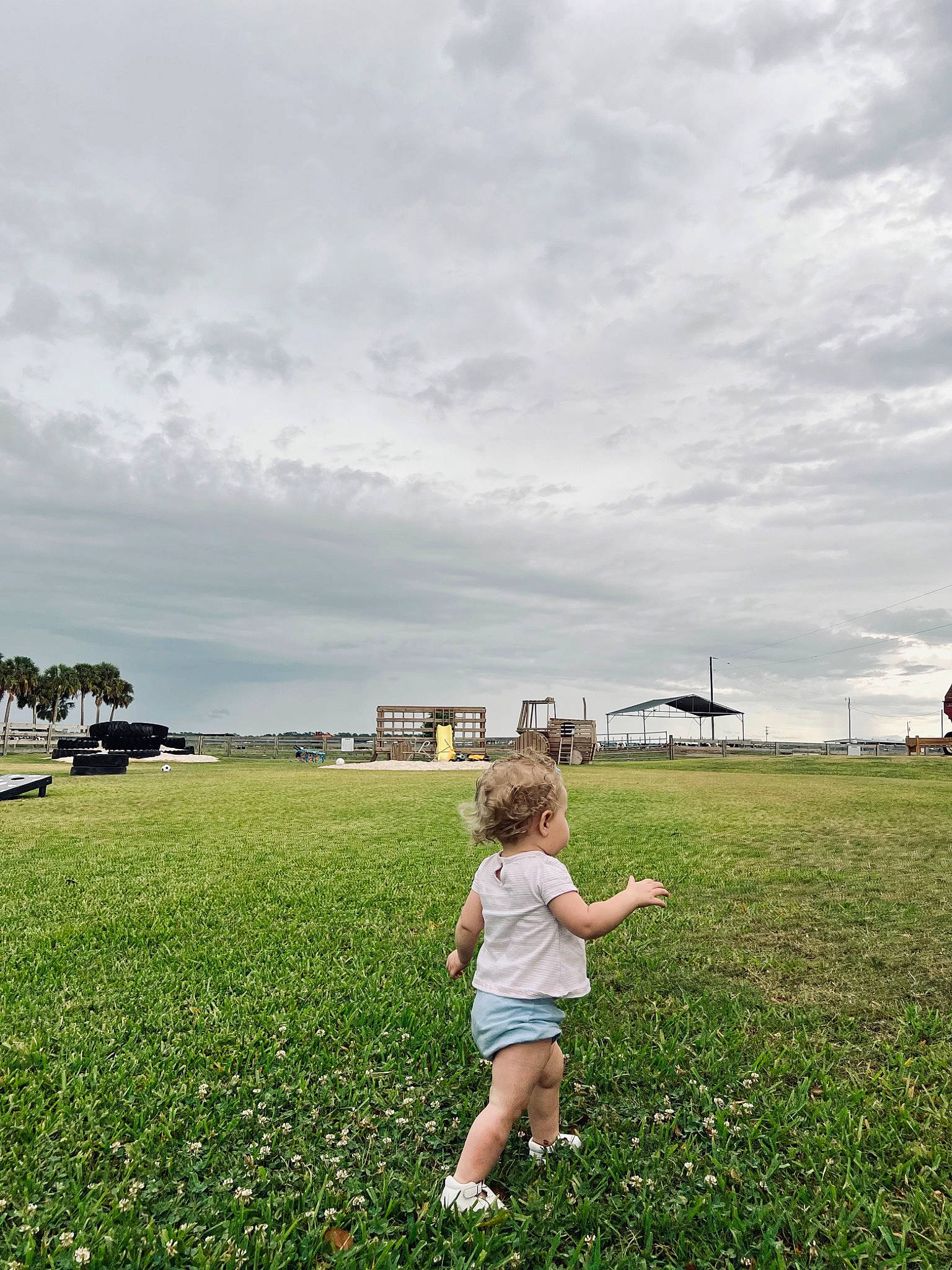 Amelia is registered to the contest to win money with this photo: cloud, fun, grass, grass_family, grassland, happy, horizon, landscape, lawn, leisure, meadow, people_in_nature, person, plain, plant, prairie, shorts, sky, toddler, toy