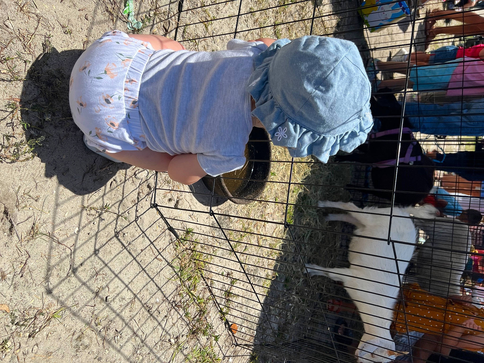 Amelia joined the competition — help win amazing prizes! brickwork, chain_link_fencing, denim, foot, grass, hat, human_leg, mesh, pattern, road_surface, shadow, shorts, sidewalk, sneakers, soil, street_fashion, t_shirt, thigh, tree, walking_shoe