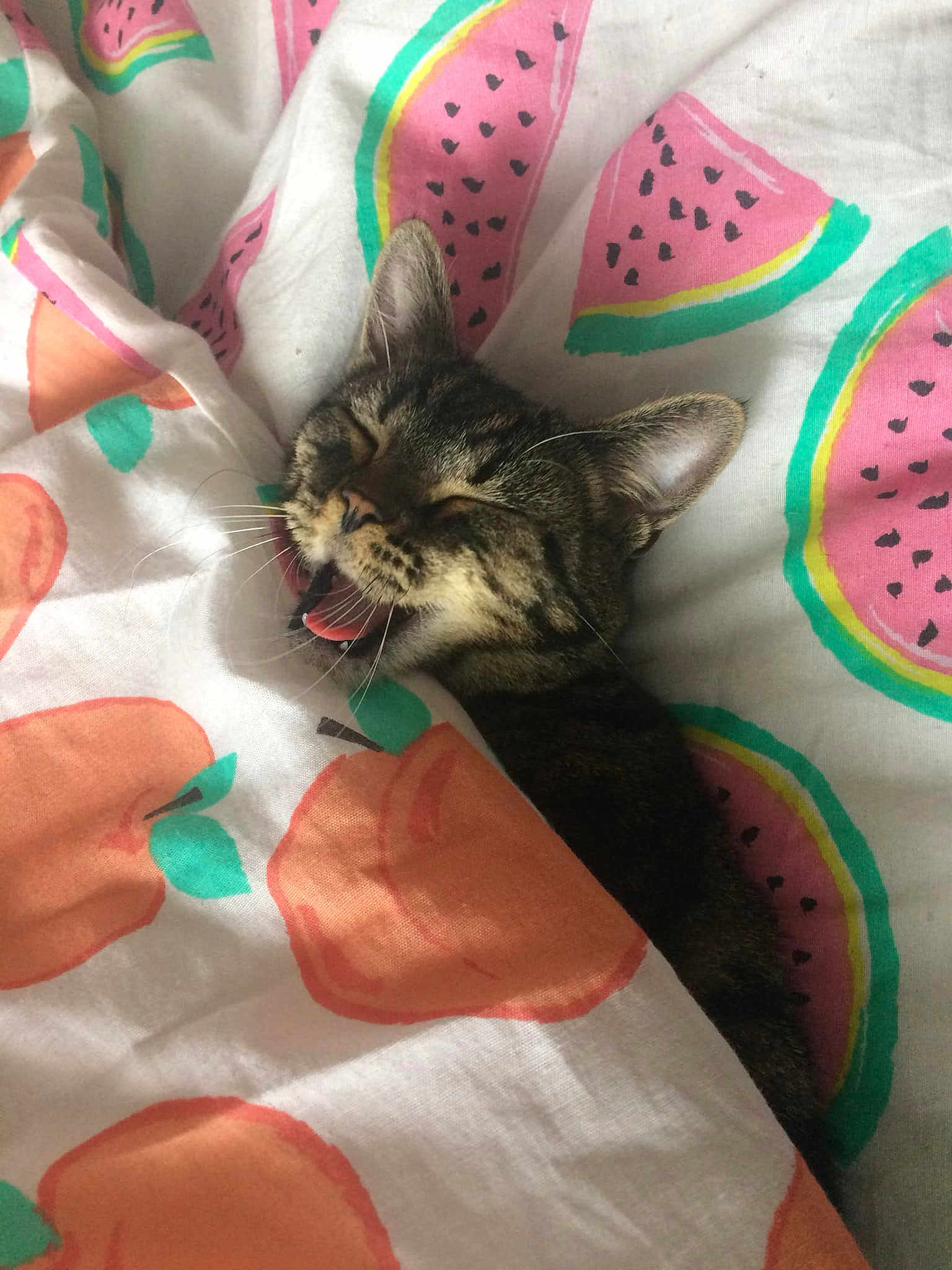 Yoshi