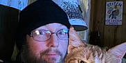 Simba joined the competition — help win amazing prizes! animal, artwork, beanie, cat, closeup, cozy, face, facial_hair, ginger_cat, glasses, home, indoor, lamp, man, pet, portrait, seated, white_cat, window, wooden_wall