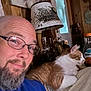 Simba joined the competition — help win amazing prizes! beard, bottle, cat, door, furniture, glasses, home, indoor, juice, lamp, man, orange_cat, relaxing, selfie, smiling, tattoo, tropicana, white_cat, window, wooden_wall
