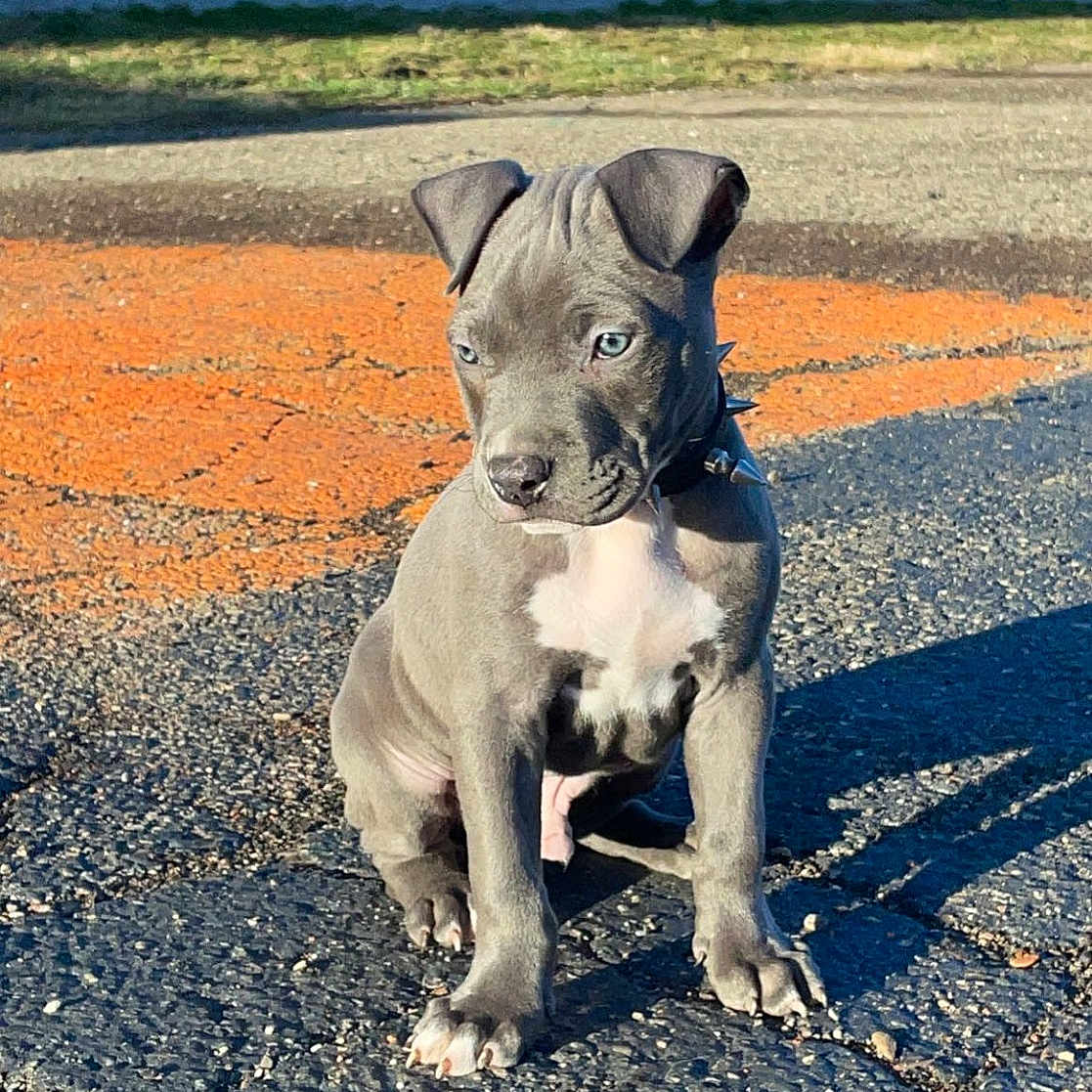 Axle