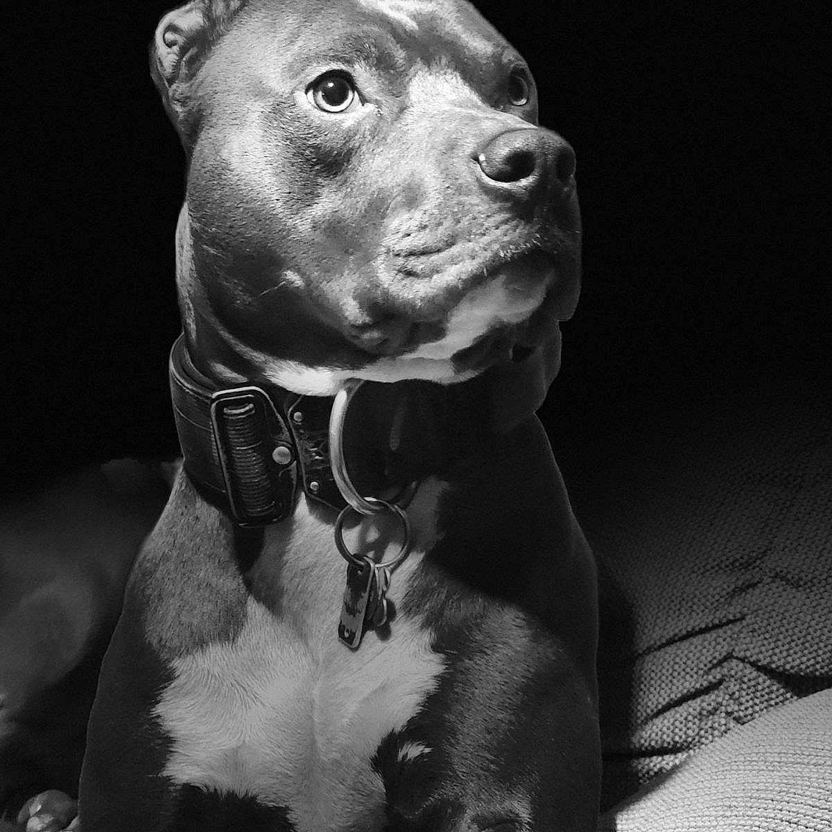 Axel