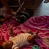 baby, infant, child, dog, pet, blanket, pink_blanket, toy, playroom, indoor, home, floor, lying_down, white_clothing, smiling, portrait, casual, cozy, candid, furniture