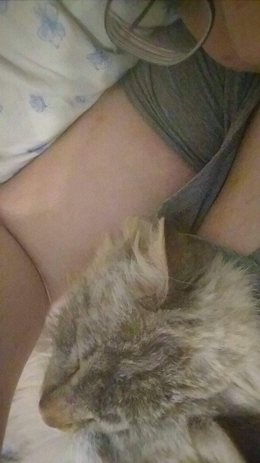 Mr. Fluffy joined the competition — help win amazing prizes! abdomen, arm, chest, comfort, elbow, eyelash, feather, felidae, fur, gesture, hand, human_leg, knee, nail, shoulder, small_to_medium_sized_cats, tail, thigh, whiskers, wrist