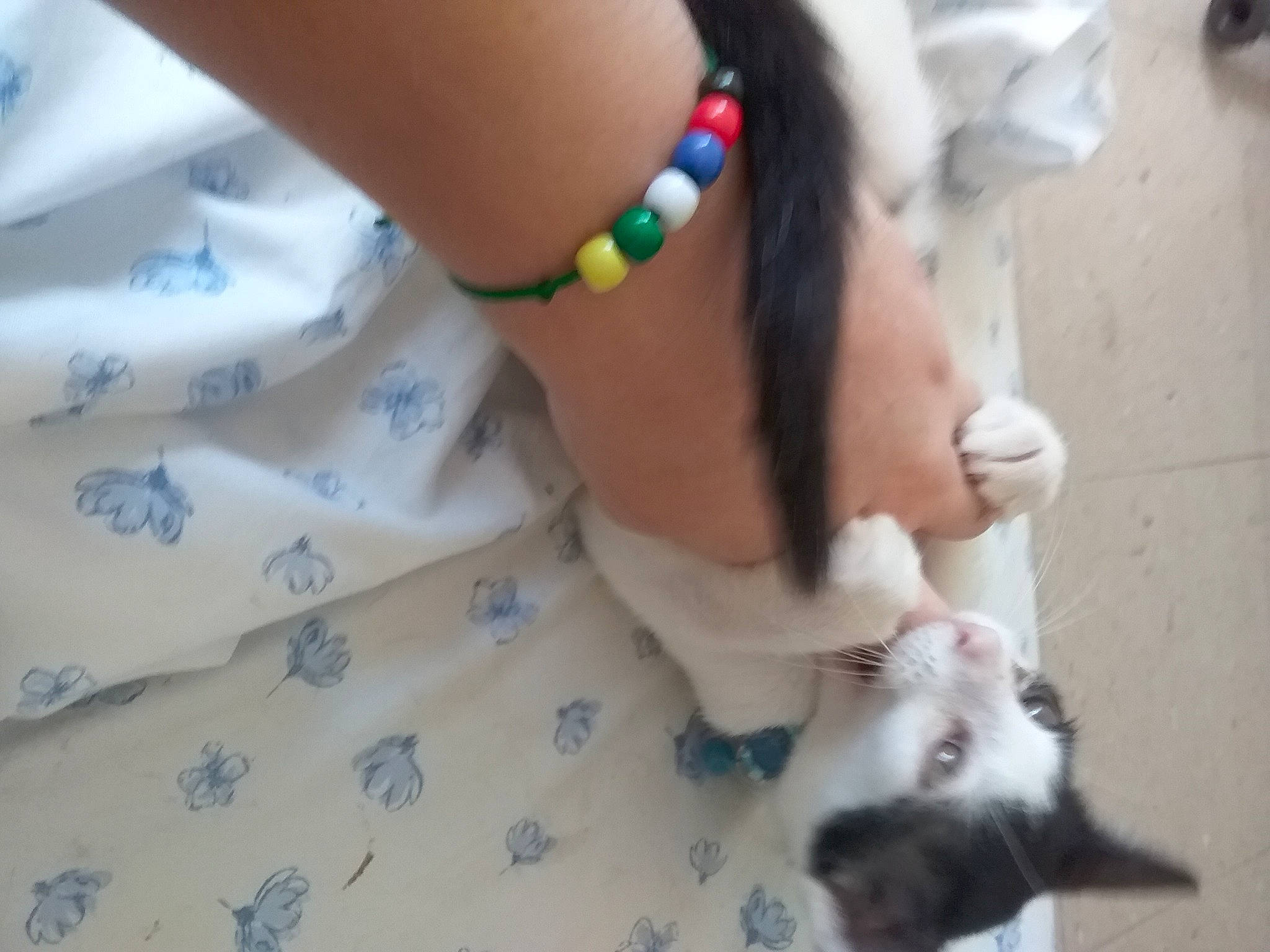 Forest joined the competition — help win amazing prizes! body_jewelry, carnivore, cat, companion_dog, domestic_short_haired_cat, eyelash, eyewear, fashion_accessory, felidae, happy, human_leg, jewellery, nail, necklace, small_to_medium_sized_cats, sunglasses, tail, whiskers, white, wrist