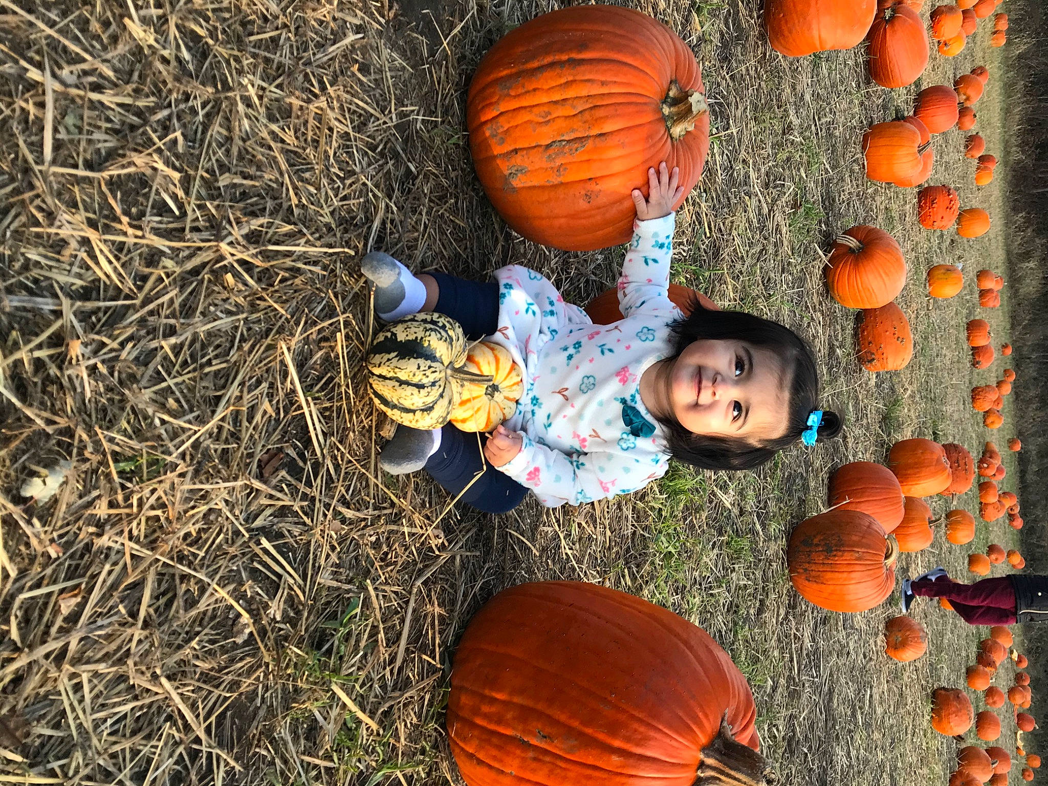 Kendra is registered to the contest to win money with this photo: _and_melon_family, _gourd, baby_toddler_clothing, calabaza, cucumber, cucurbita, gourd, holiday, joy, local_food, natural_foods, nose, orange, people_in_nature, person, produce, pumpkin, squash, straw, toddler