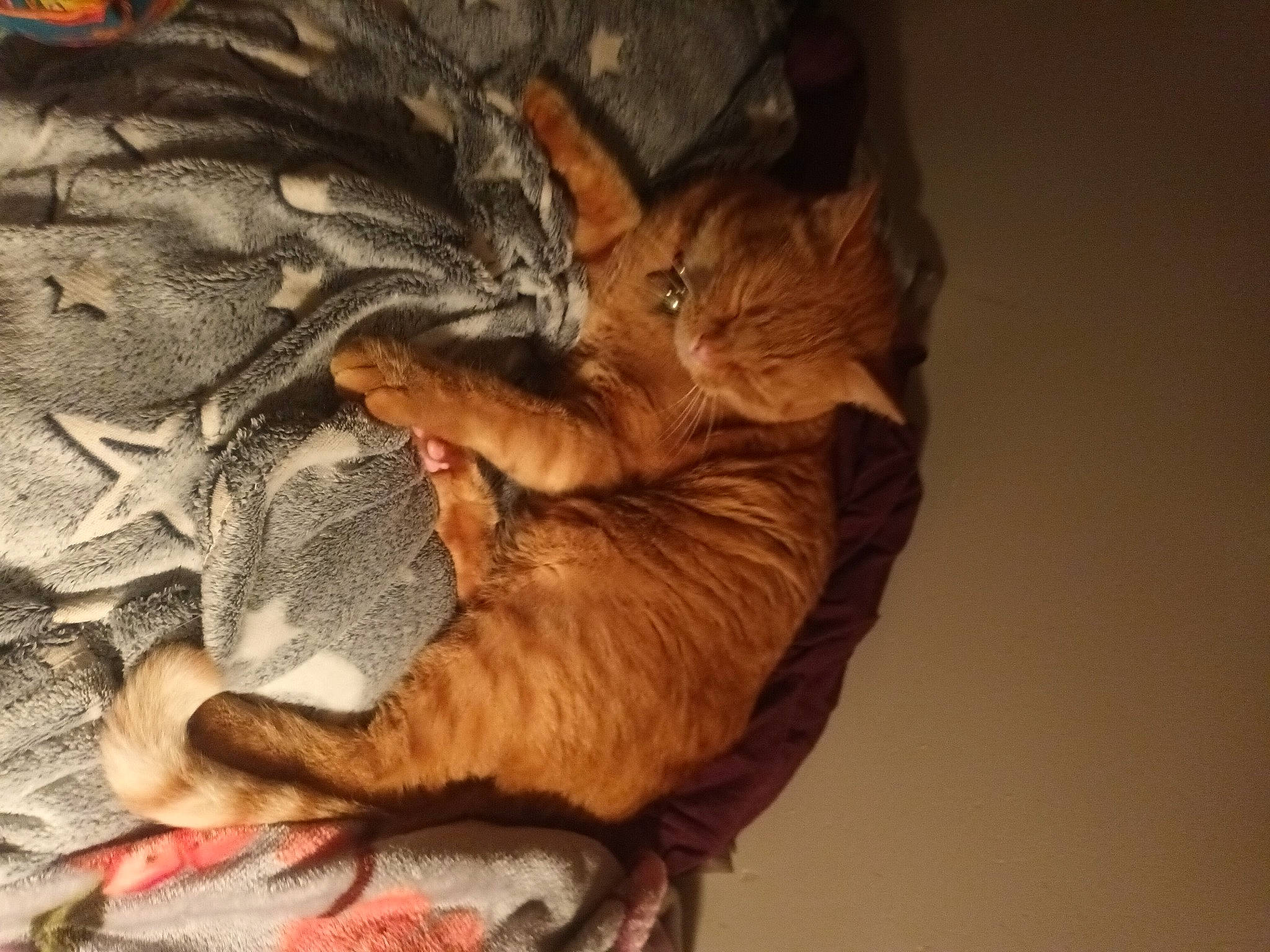 Roudoudou