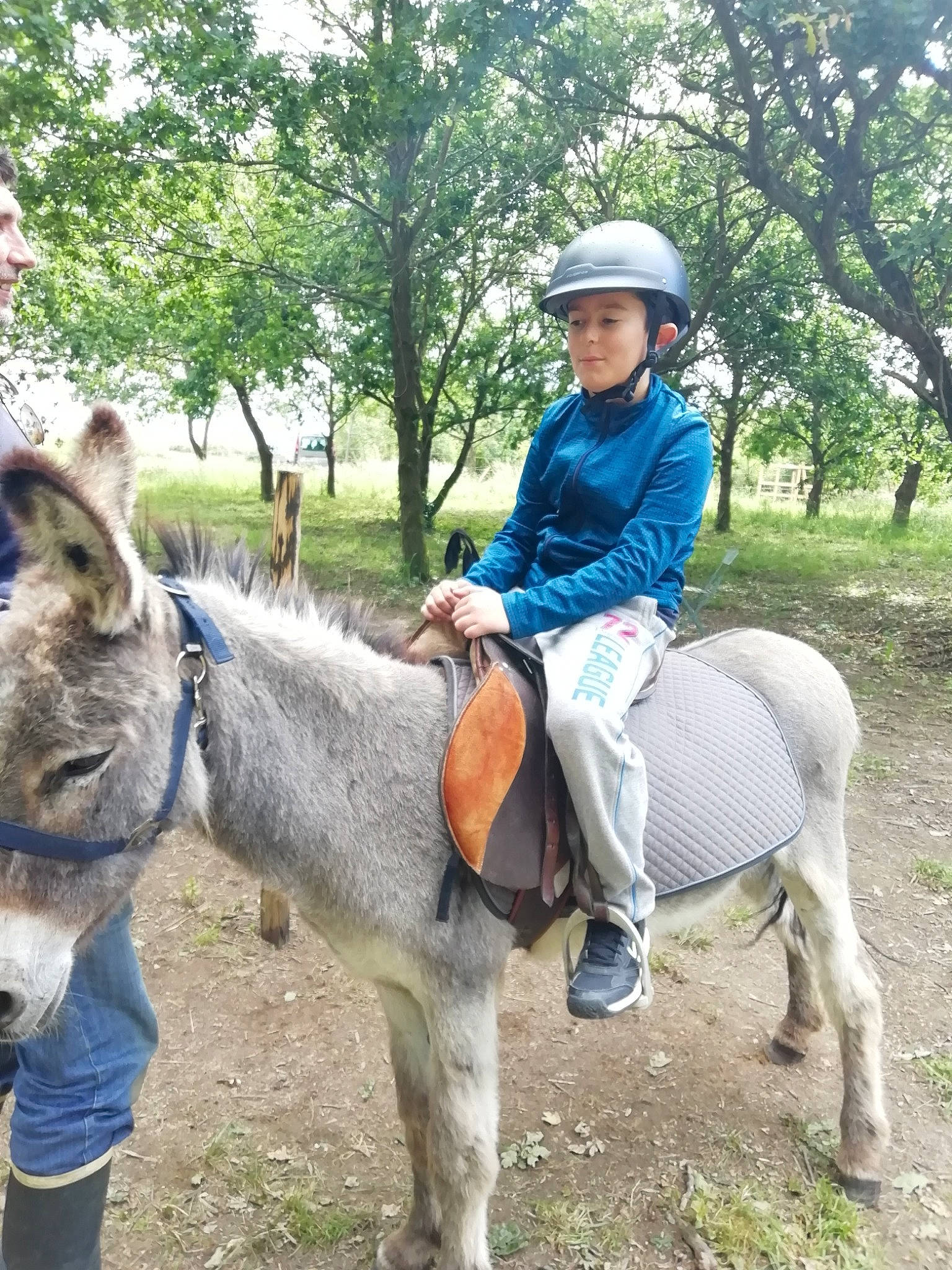 Fluffy a rejoint le concours — aidez-le/la à gagner de superbes lots ! bridle, burro, equestrianism, headwear, horse, horse_supplies, landscape, mammal, mare, pack_animal, person, pony, recreation, rein, riding_instructor, trail_riding, vertebrate, working_animal
