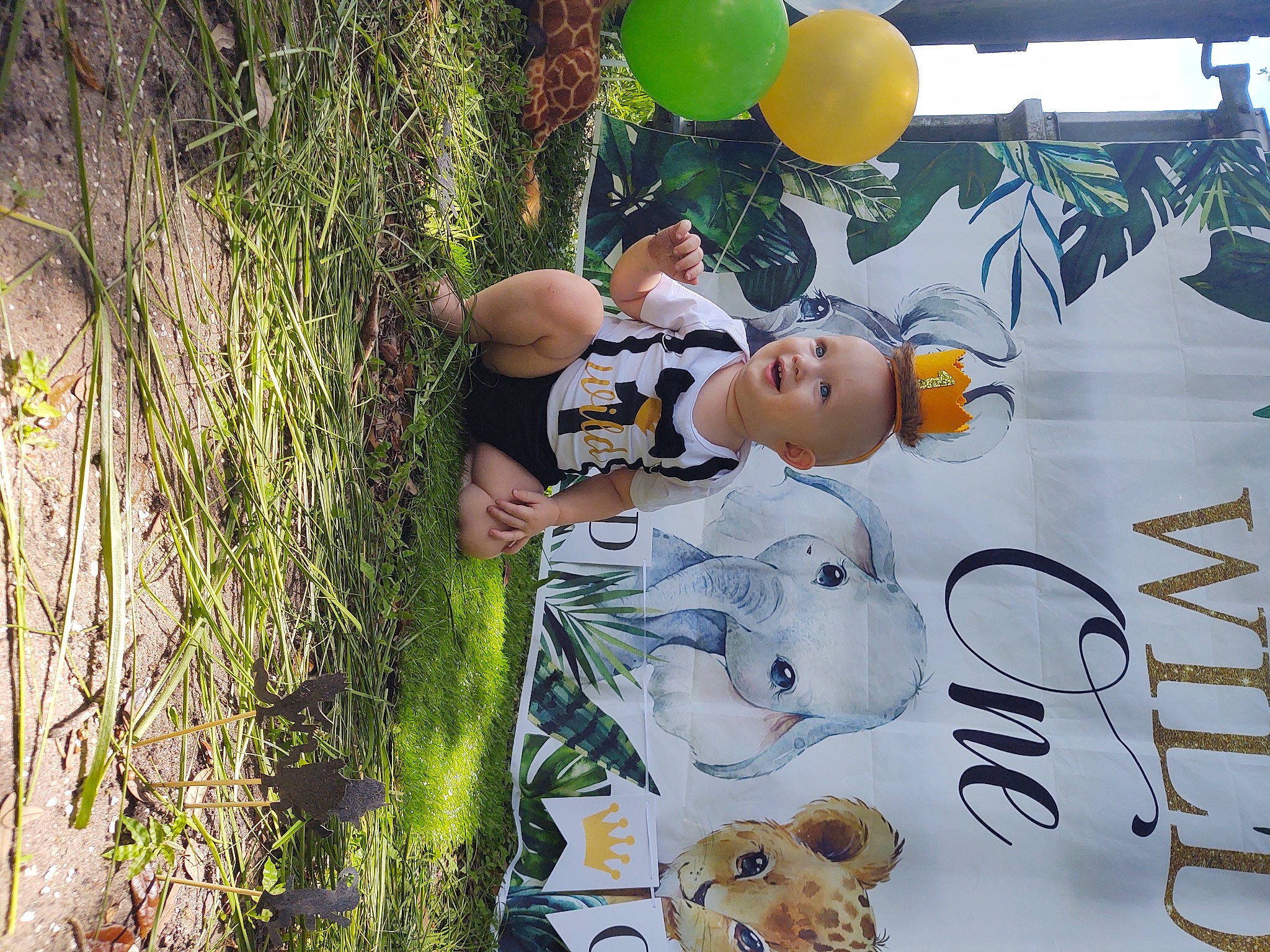 Ezra is registered to the contest to win money with this photo: adaptation, child, fun, happy, leisure, organism, person, plant, tourism, tree, vacation