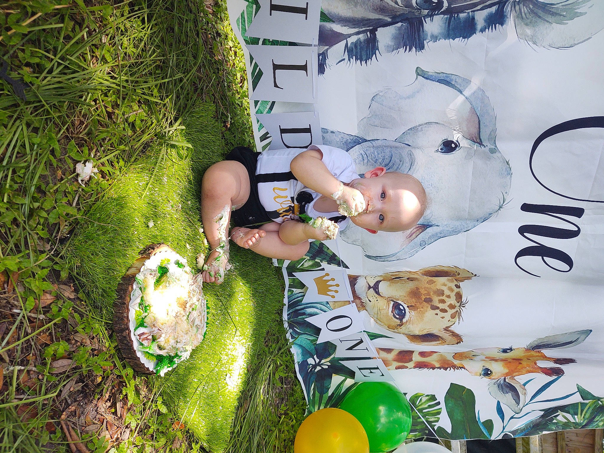 Ezra joined the competition — help win amazing prizes! fictional_character, person, plant, tree, world