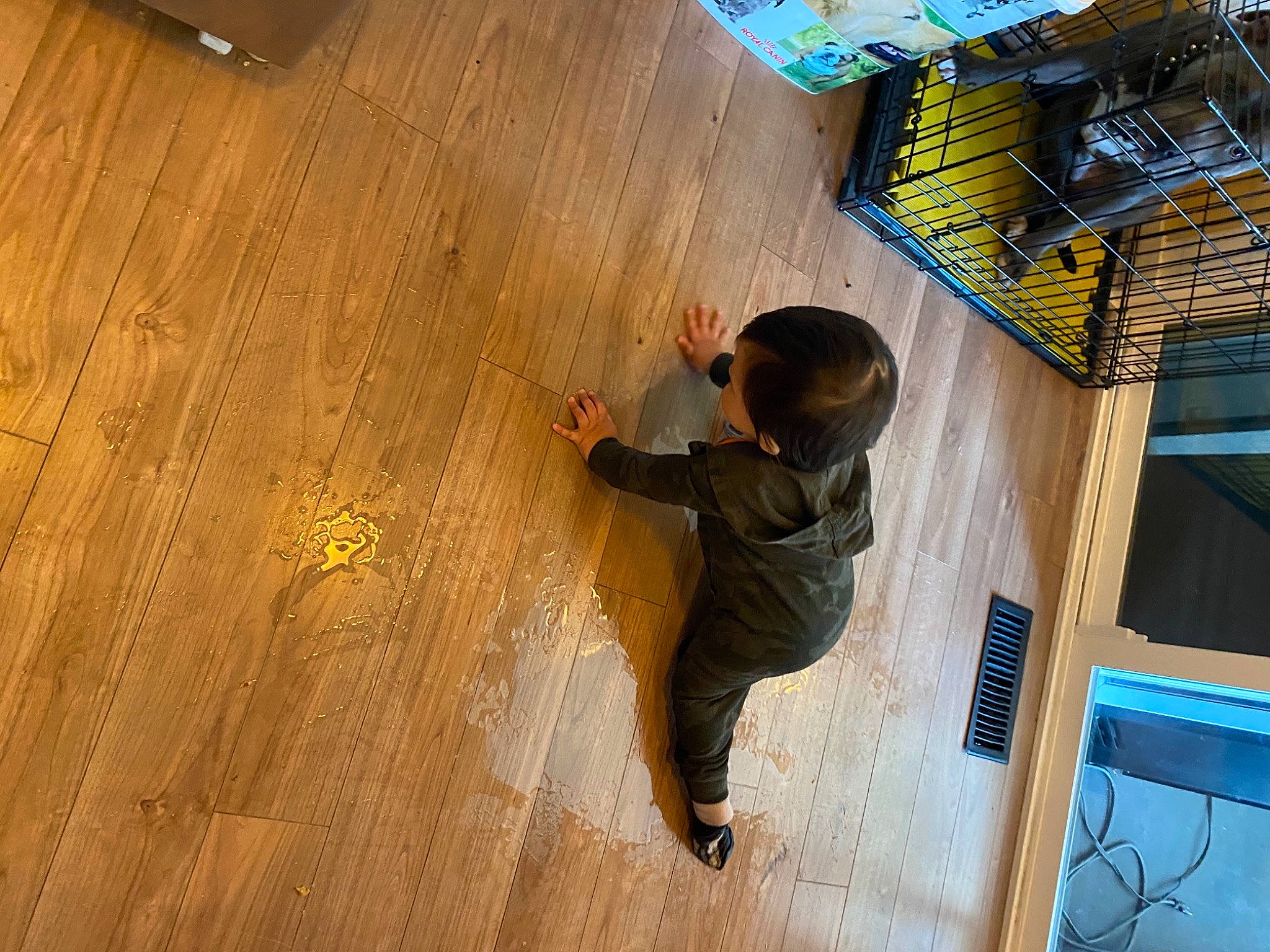 Denzel joined the competition — help win amazing prizes! adventure, child, floor, flooring, fun, hardwood, laminate_flooring, leisure, pattern, person, plank, play, plywood, recreation, room, t_shirt, toddler, varnish, wood, wood_flooring