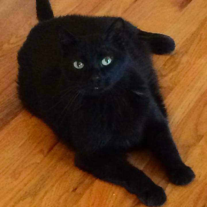 Slipper