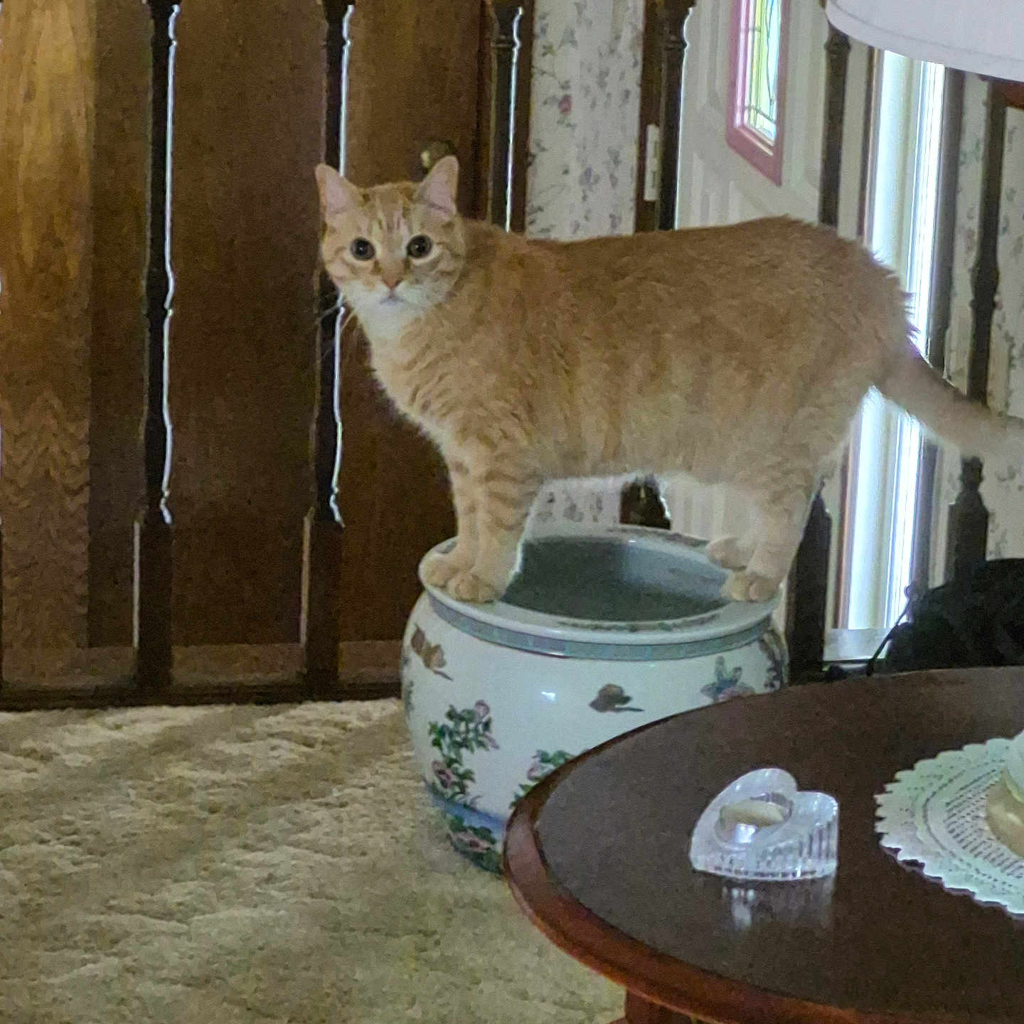 Tigger