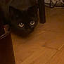 cat, black_cat, wooden_floor, furniture_leg, pet, indoor, animal, eyes, dark, floor, home, curious, quiet, low_light, shadow, feline, mammal, domestic_animal, hidden, peeking