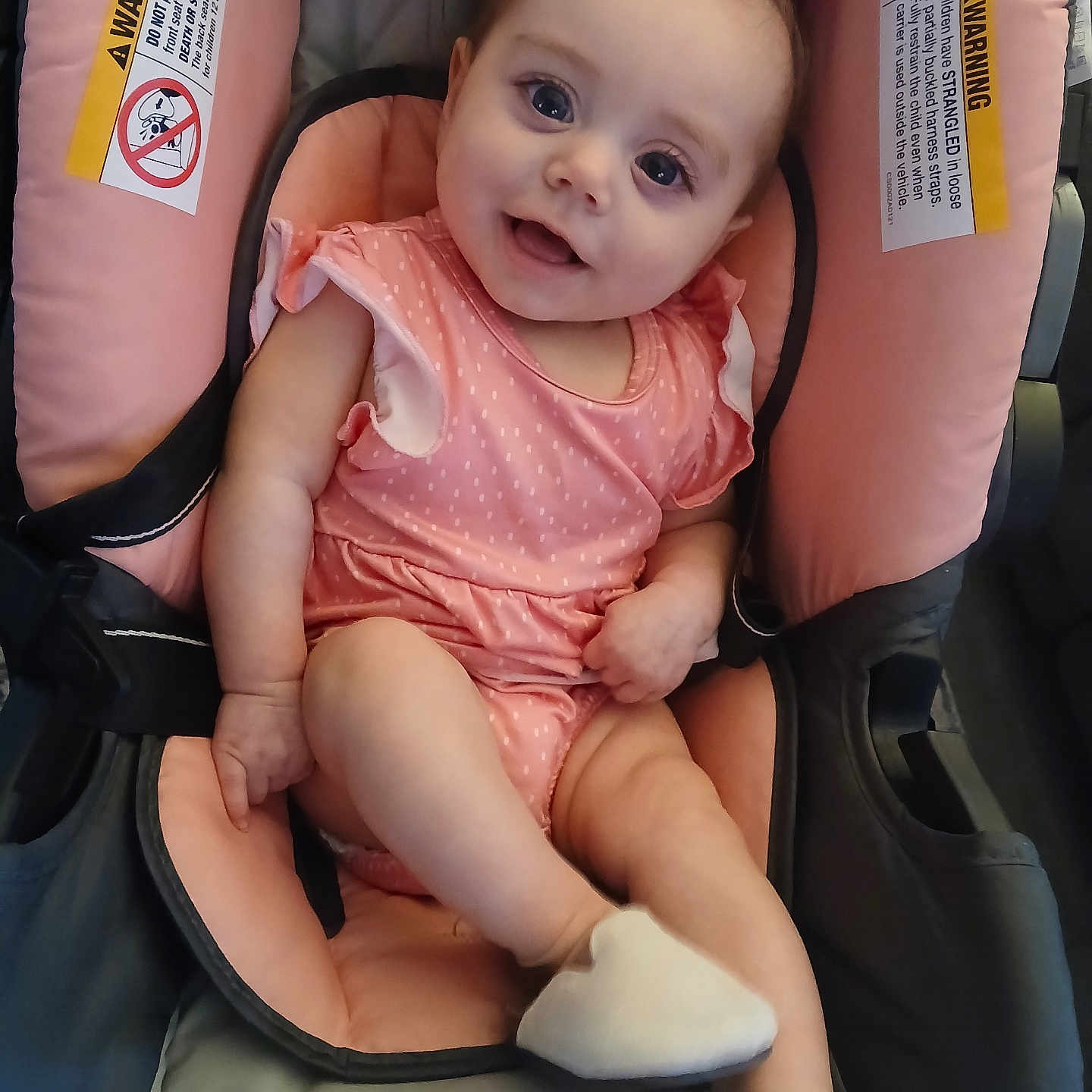 Aurora Luna