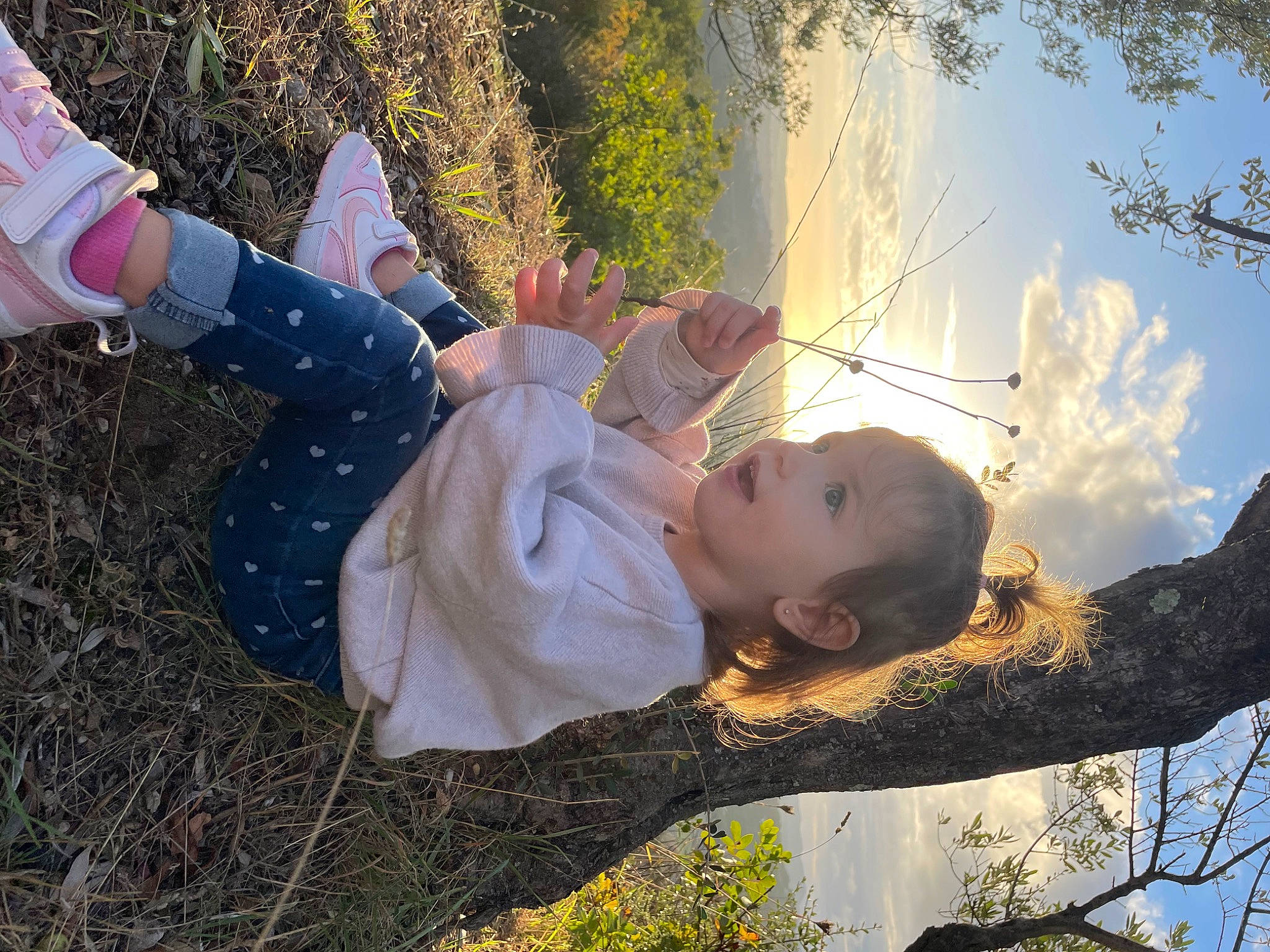Luna participe au concours pour gagner de l'argent avec cette photo : adaptation, child, cloud, facial_expression, flash_photography, fun, grass, happy, leaf, leisure, people_in_nature, person, plant, sky, sunlight, tints_and_shades, toddler, tree, twig, winter