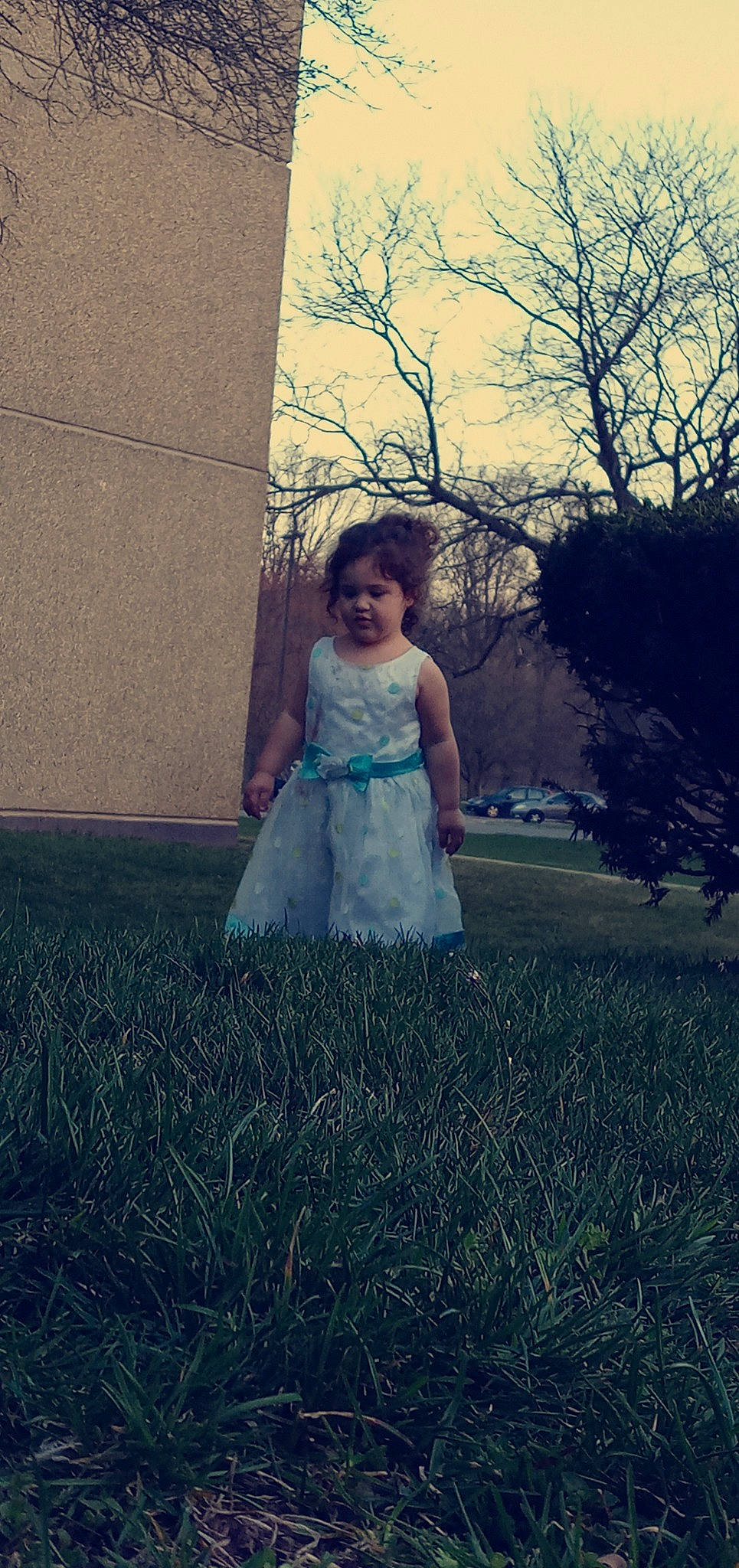 Sophia joined the competition — help win amazing prizes! bridal_party_dress, brown_hair, day_dress, dress, electric_blue, flash_photography, formal_wear, fun, gown, grass, grassland, happy, long_hair, people_in_nature, person, plant, shoulder, sky, sunlight, tints_and_shades