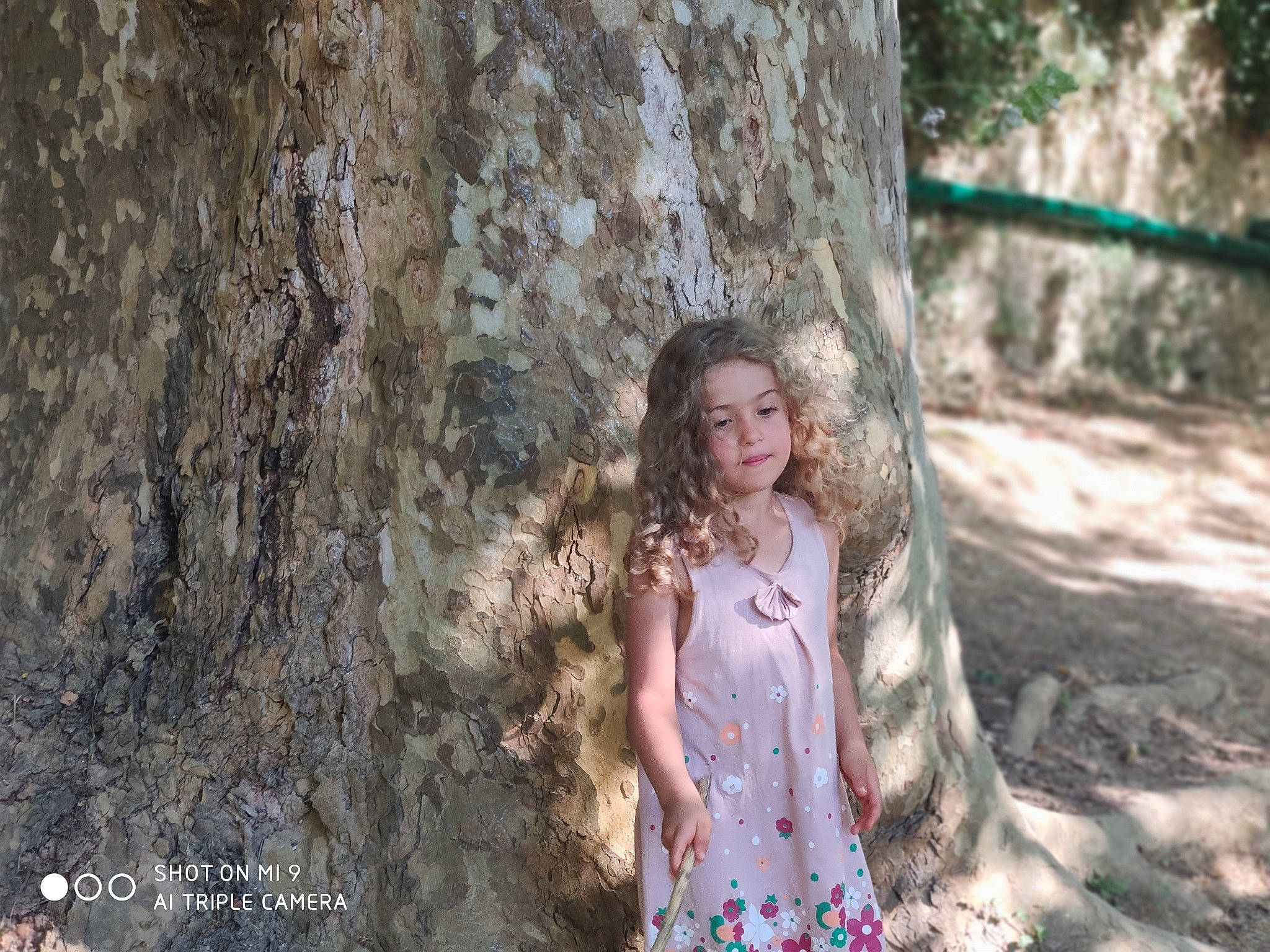 Louise participe au concours pour gagner de l'argent avec cette photo : beauty, branch, child_model, eye, forest, fun, long_hair, nature, old_growth_forest, people_in_nature, person, photo_shoot, photograph, photography, plant, portrait_photography, sunlight, tree, trunk, woodland