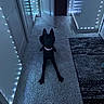 animal, black_dog, blue_lights, calm, carpet, collar, dim_light, dog, door, fairy_lights, floor, hallway, indoor, open_door, pet, quiet, resting, rug, shadow, wall