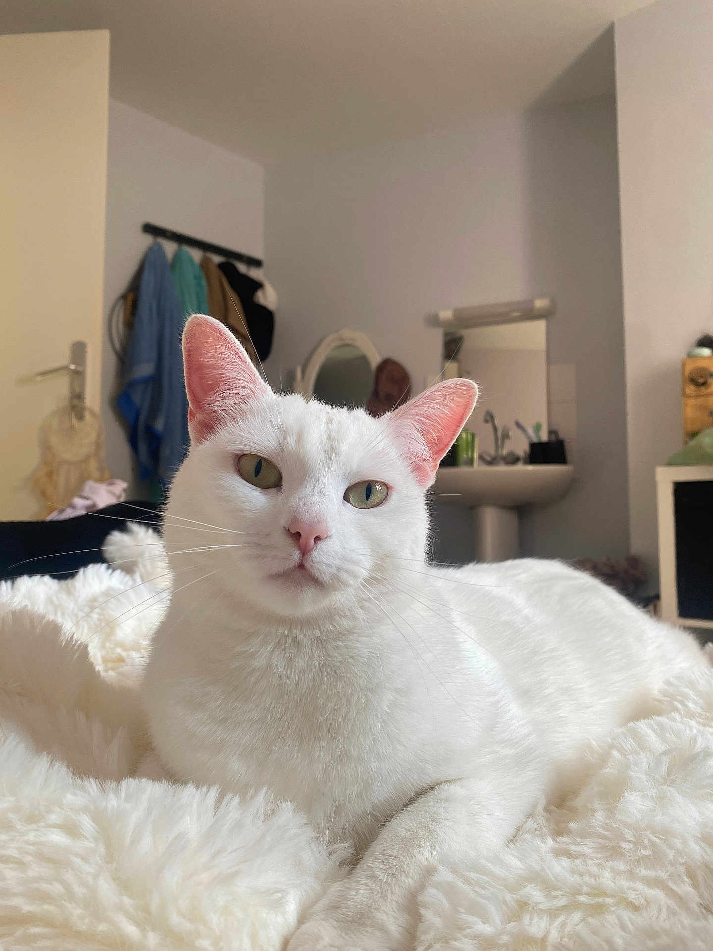Swiffer