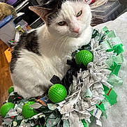 Mama Kitty is registered to the contest to win money with this photo: cat, white_cat, black_and_white, pet, fabric, wreath, green_golf_balls, indoor, kitchen, table, person_in_background, fur, close_up, animal, domestic_animal, sitting, curious, home, household, decor