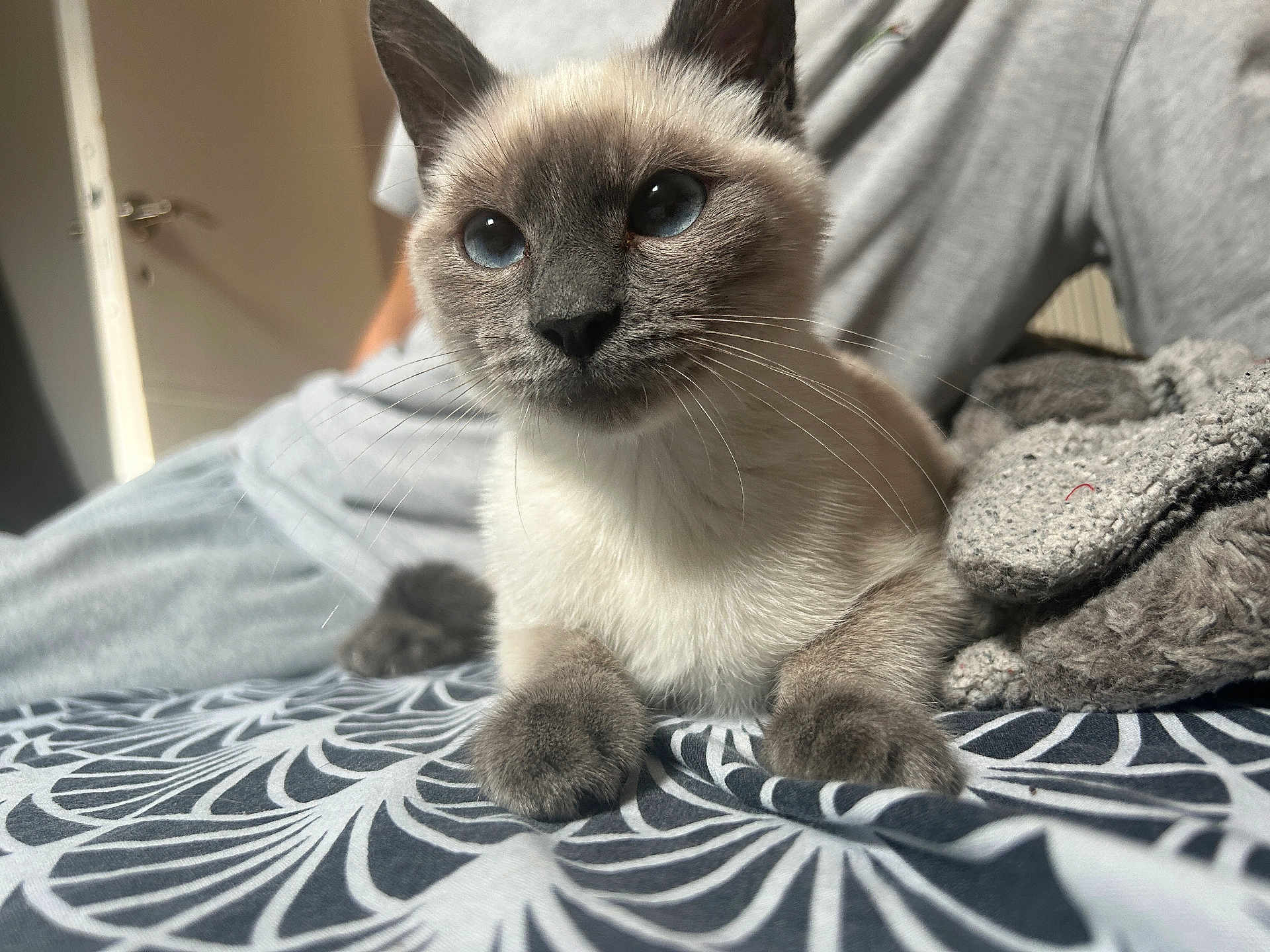 Pablo