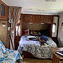dog, bed, bedroom, rv, cabinets, curtains, chair, table, phone, rope, pillows, blanket, window, wall, floor, mirror, decor, indoor, resting, pet