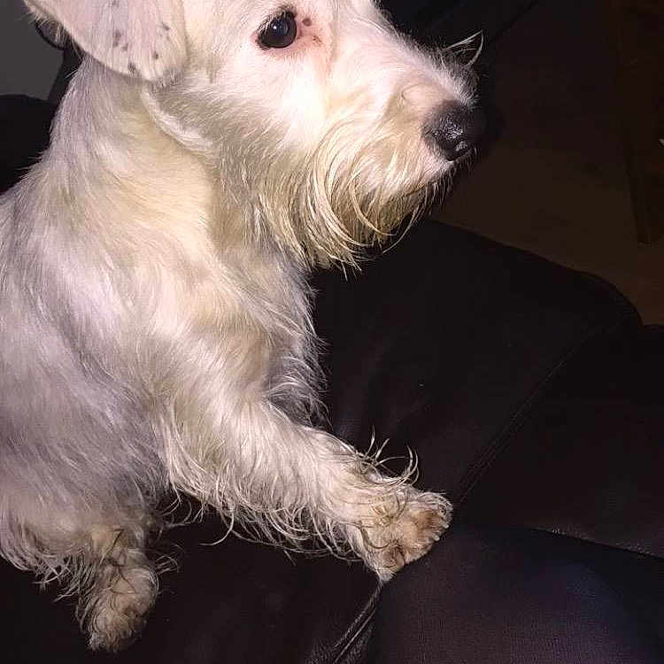 Biddy joined the competition — help win amazing prizes!