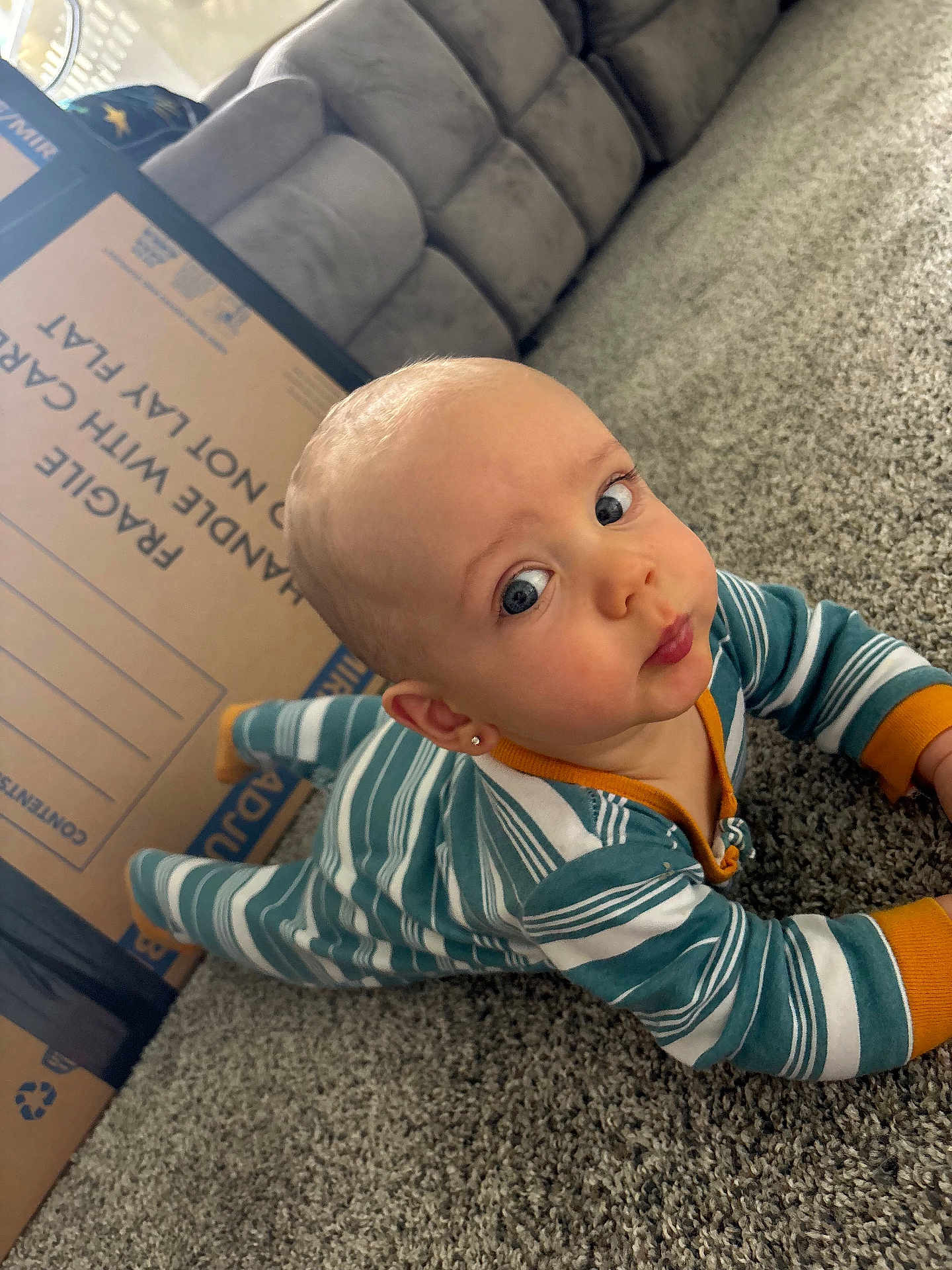 Jaxxon is registered to the contest to win money with this photo: baby, child, infant, striped_onesie, carpet, cardboard_box, blue_eyes, earrings, curious_expression, floor, living_room, couch, home, indoor, person, cute, toddler, pursed_lips, side_eye, playtime