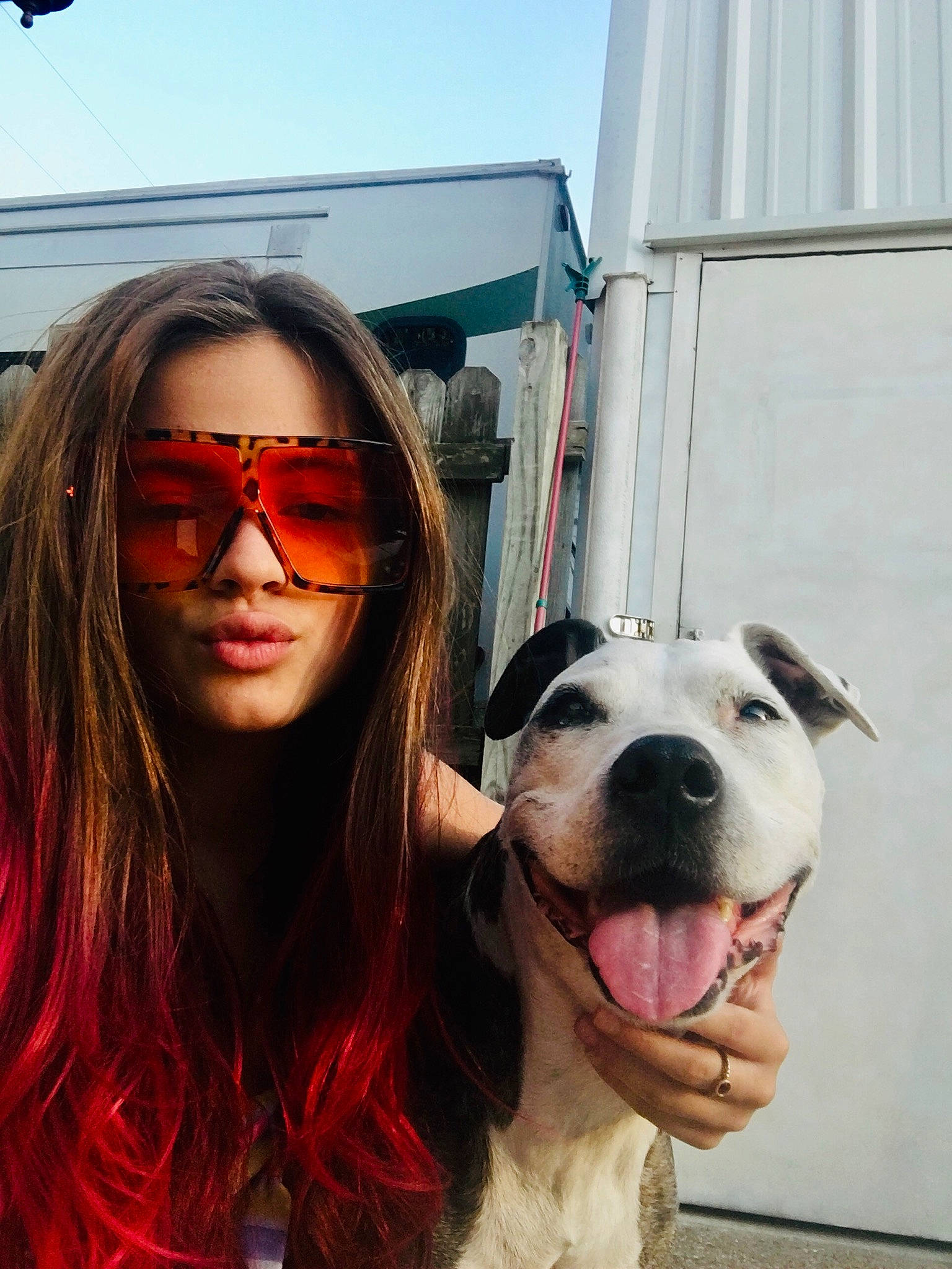 Lola May is registered to the contest to win money with this photo: carnivore, companion_dog, cool, dog, dog_breed, eyewear, fawn, friendship, glasses, goggles, happy, jaw, lip, mouth, sky, smile, sunglasses, travel, vision_care, working_animal